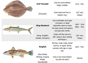 outer-banks-fishing-limits-guide-types