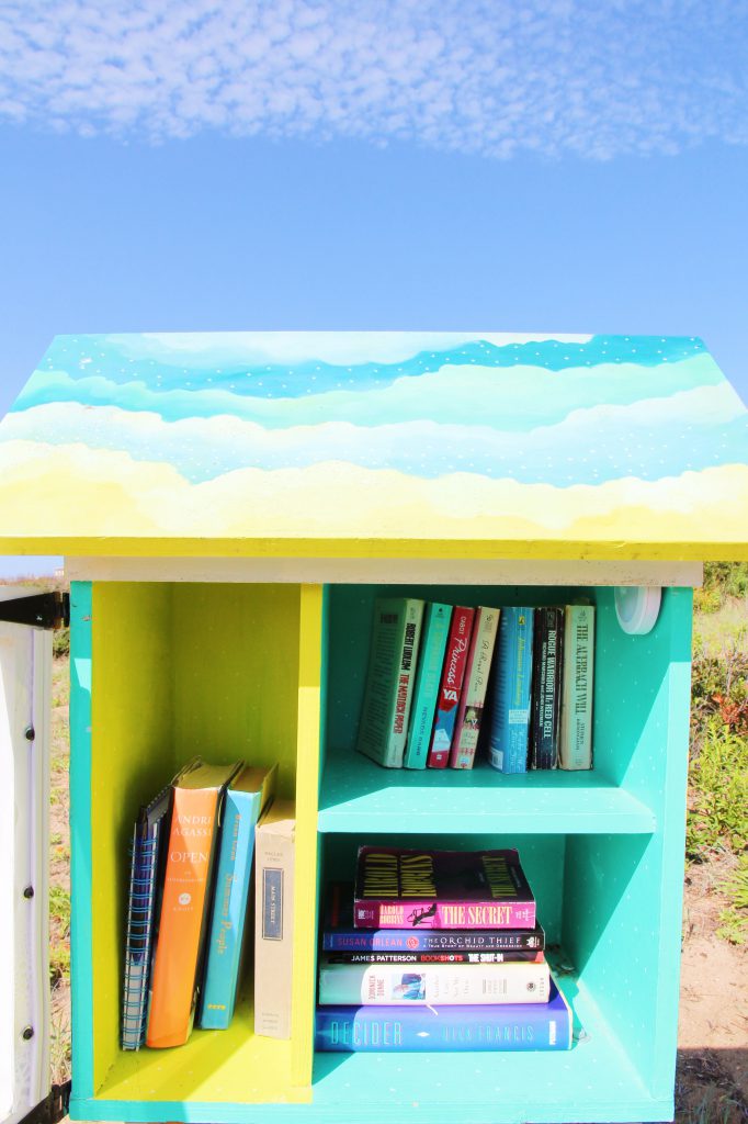 Outer Banks Little Free Libraries 