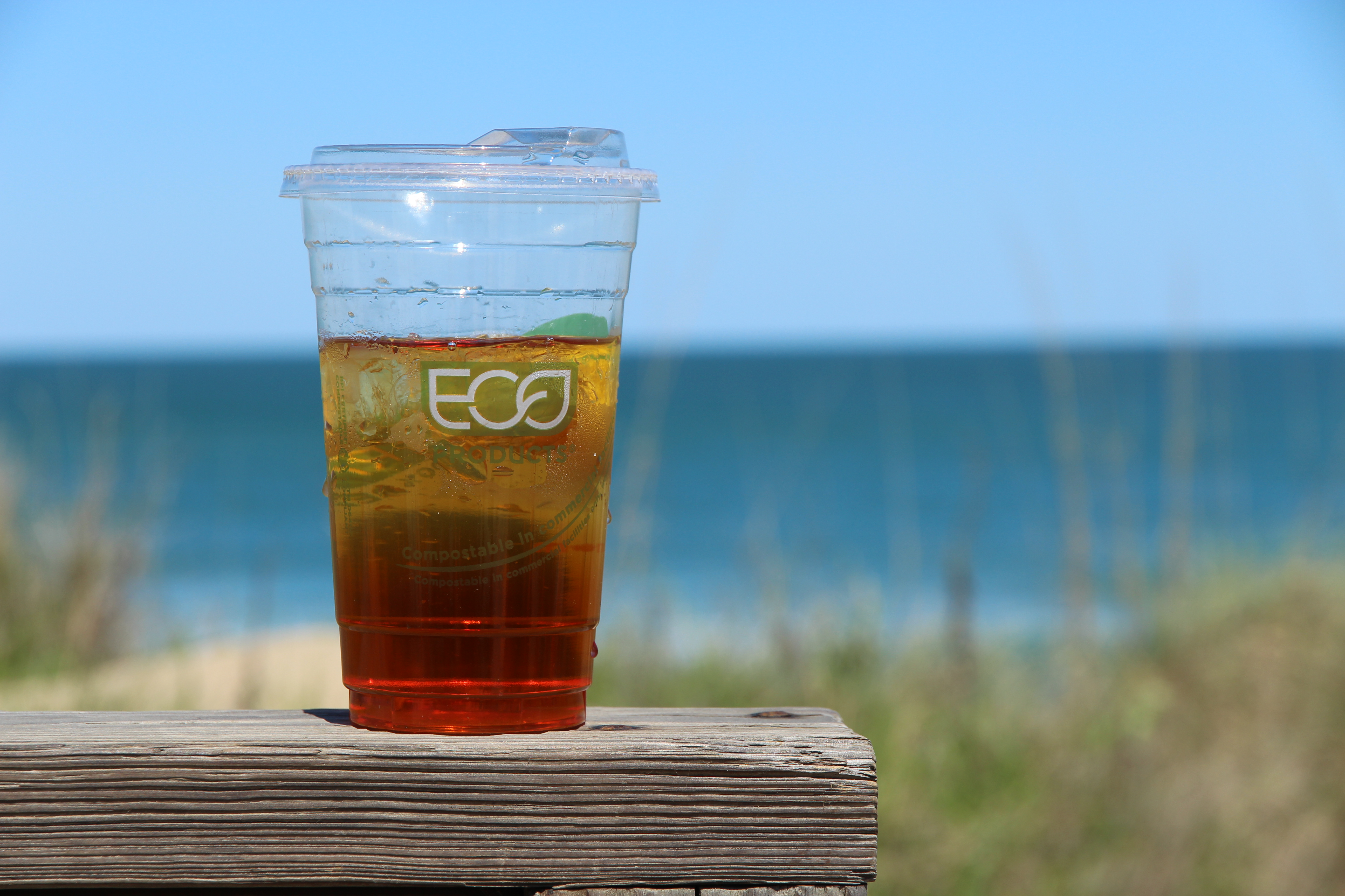Eco Biodegradable Cup