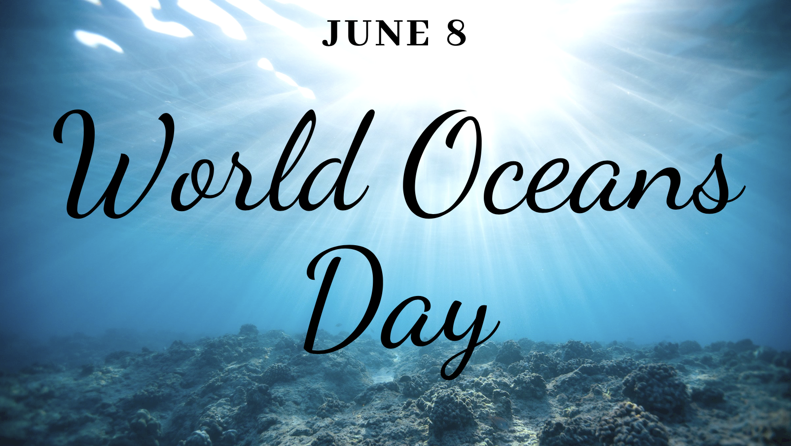 World Oceans Day Southern Shores Realty Blog