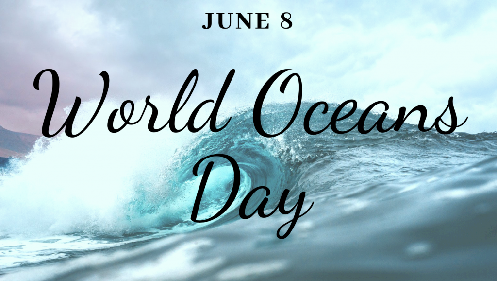 World Oceans Day Southern Shores Realty Blog
