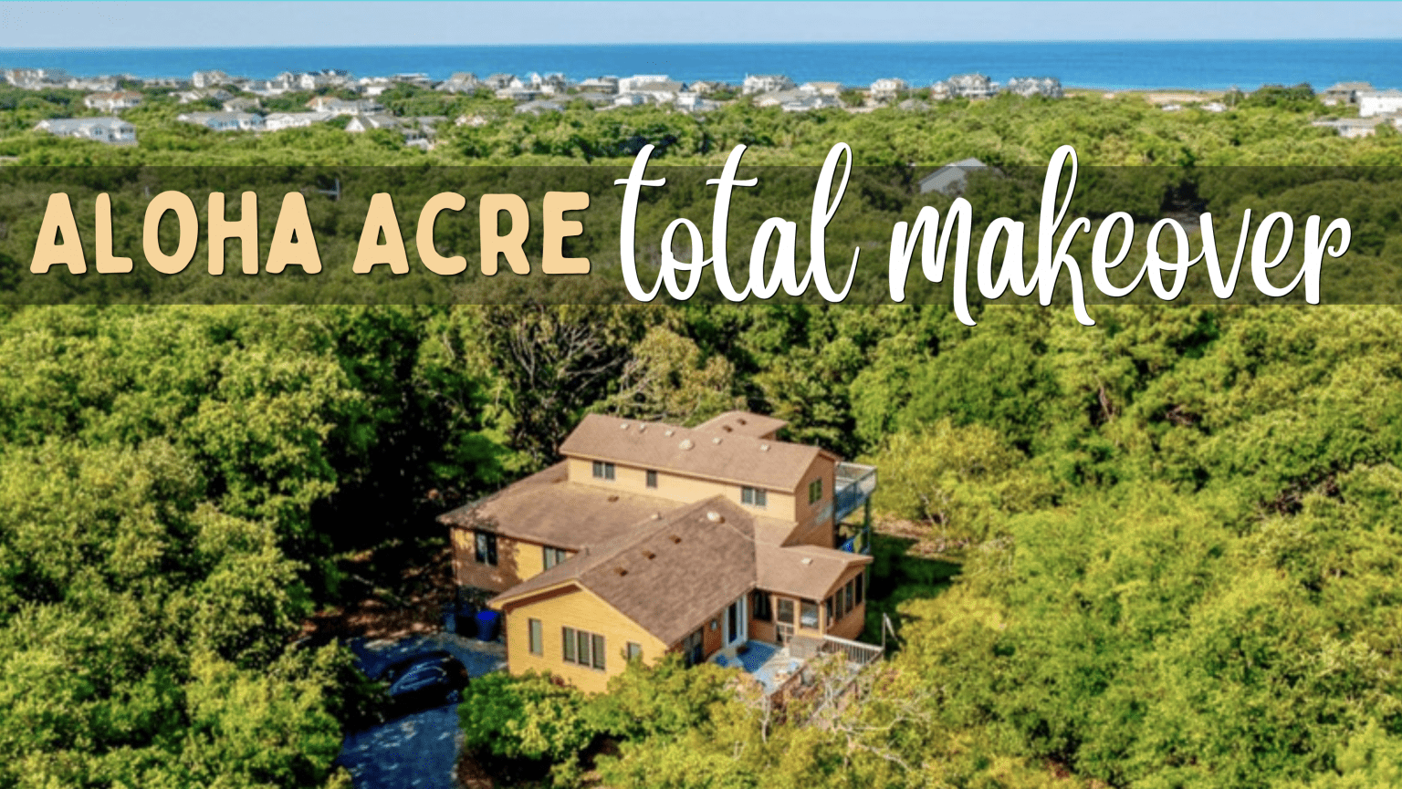 10 Tips for DogFriendly Beaches Southern Shores Realty Blog