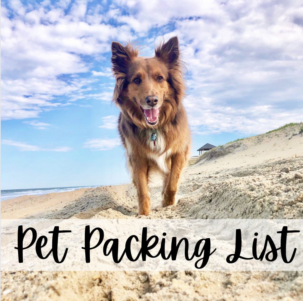 Pet Packing List Outer Banks Vacation Rental Blog
